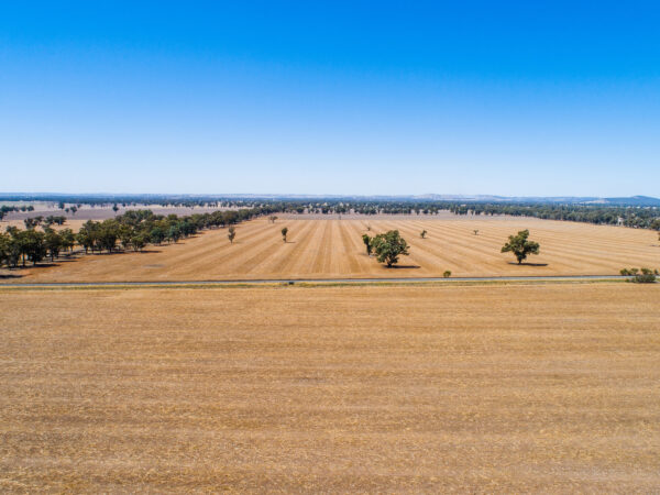 Aerial view of the crop paddock with dams, Milvale Road, Stockinbingal, New South Wales.