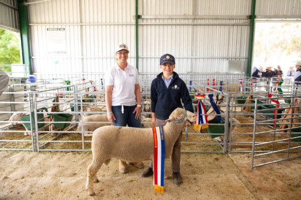 Ram lamb champion at Cootamundra Show 2019
