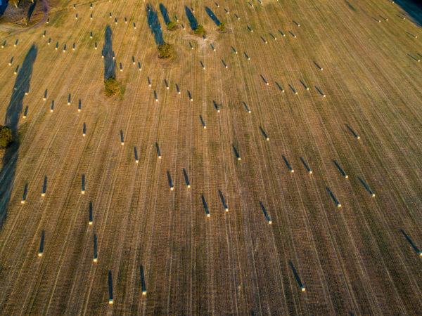Aerial view of farmland, Narromine to Narrabri, New South Wales.