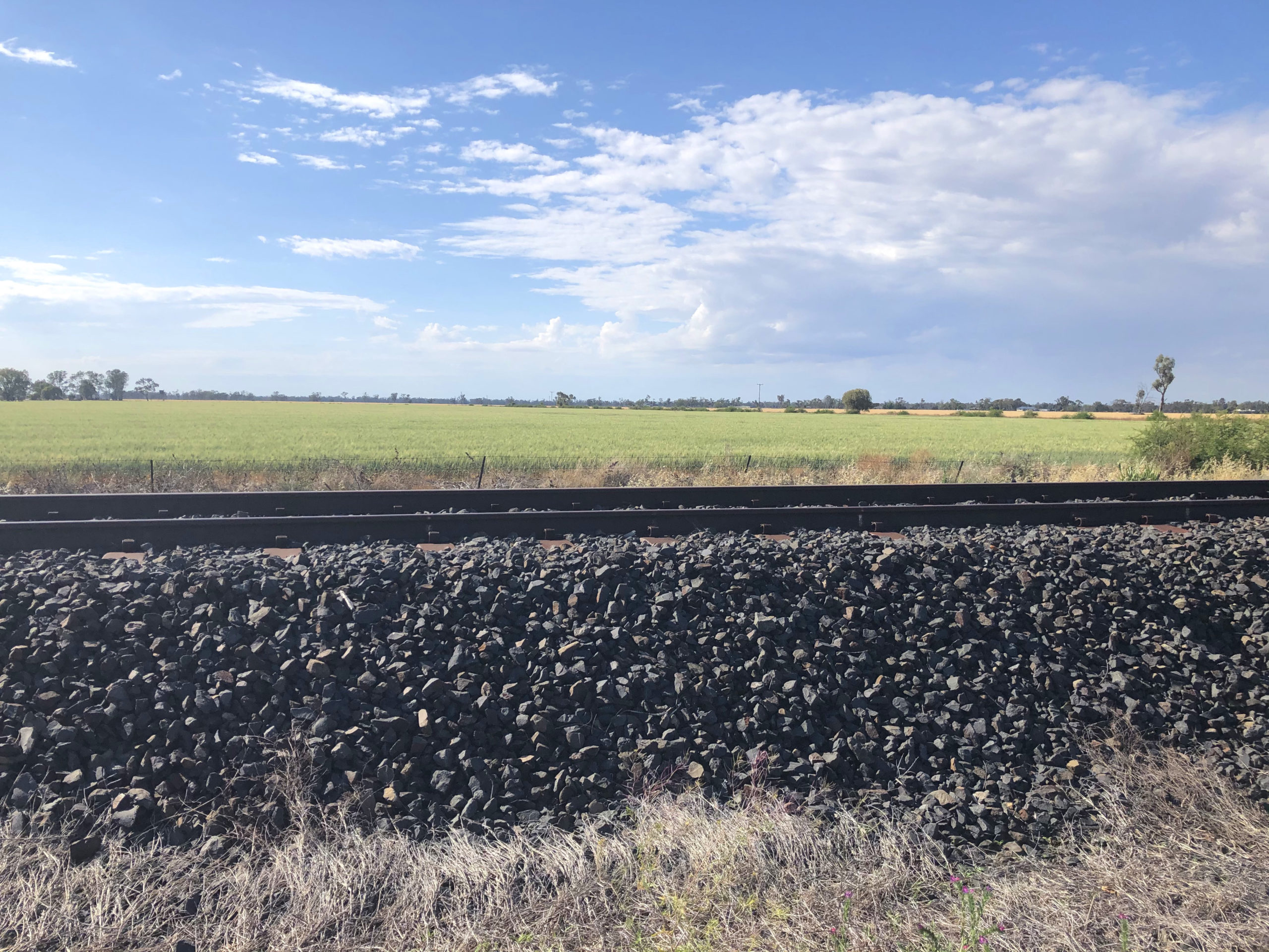 Track on the Narrabri to North Star section