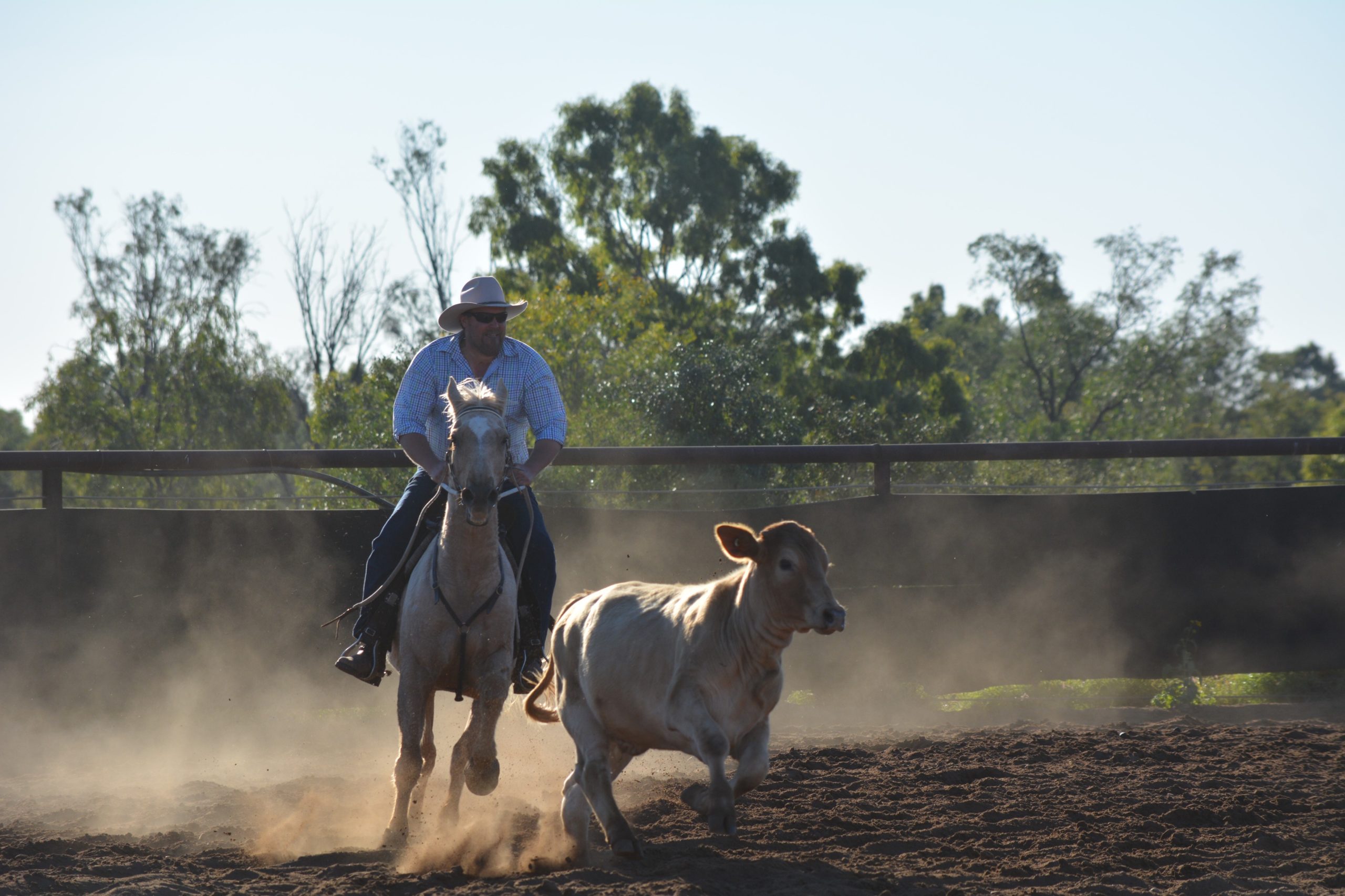 Joel back in action in the saddle