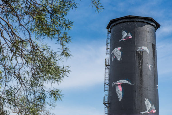 The Coonamble Water Tower mural, New South Wales. The Mural was done by the artists John Murray, Bob Barrett, and Sooty Walsh.