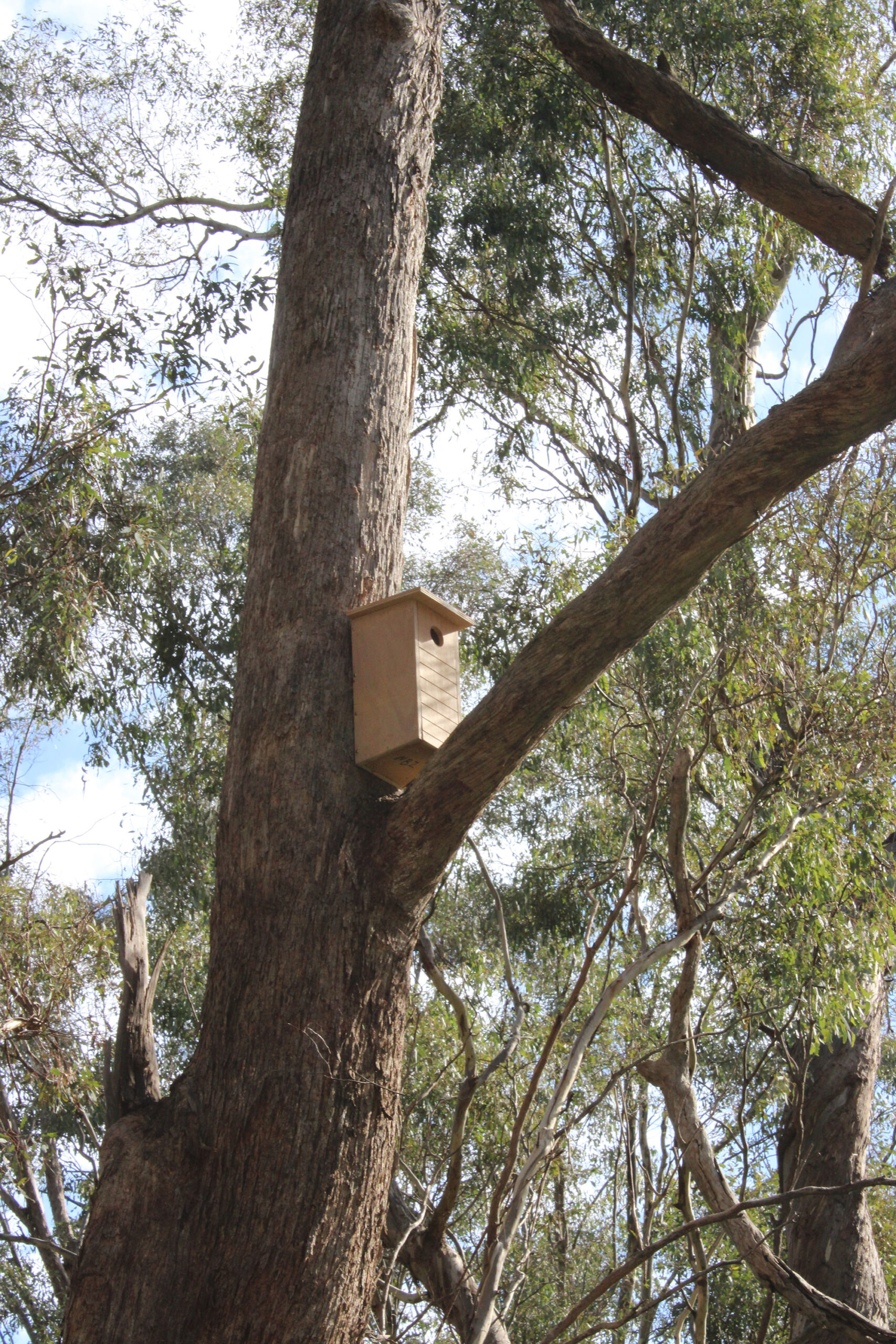 Image of nesting boxes