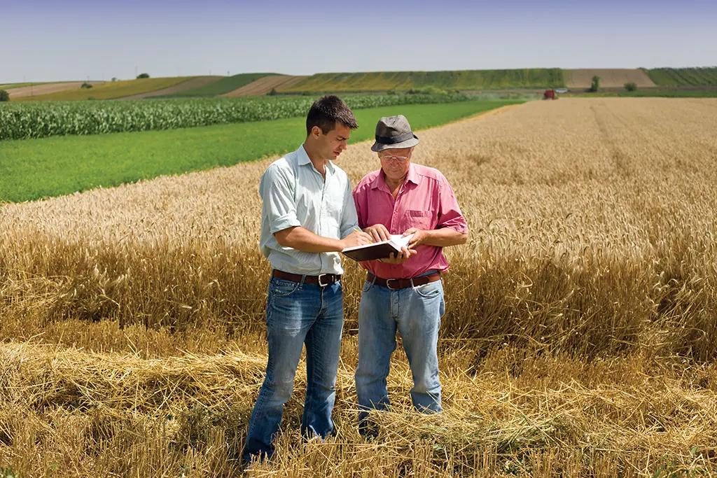 Two people standing in a field, looking at a book.