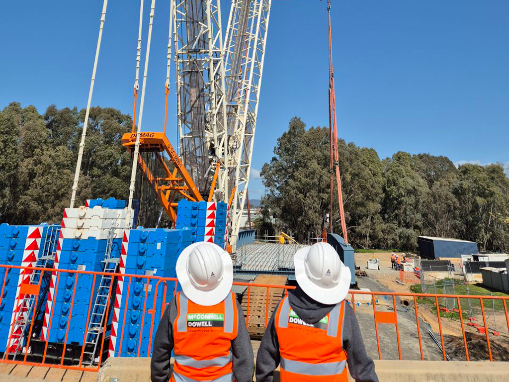 Two people looking at a crane