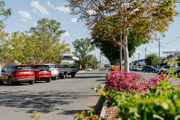 Cars parked in a street with trees and bouganvillea bush in foreground