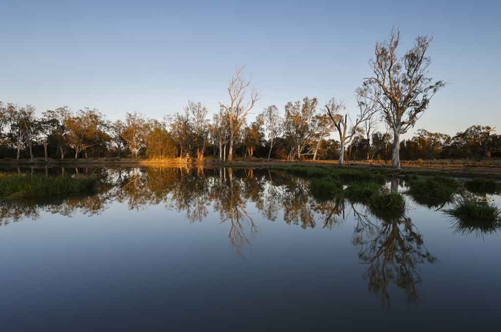 A dam reflects a line of trees in a rural setting.