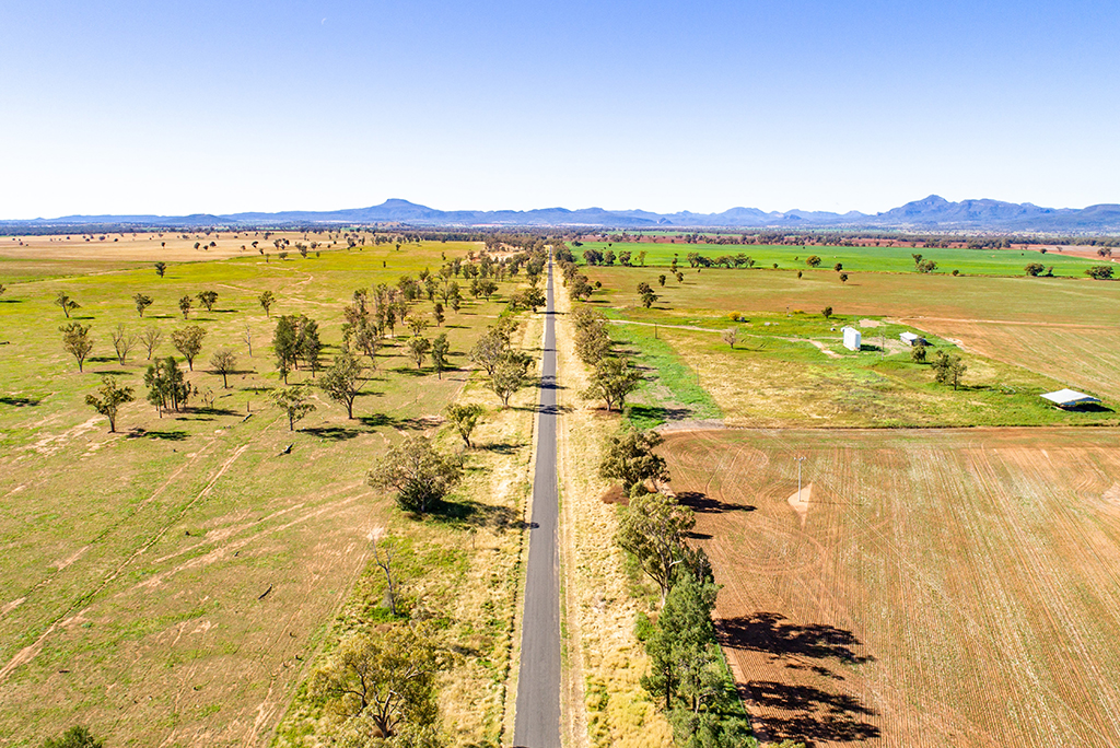 A rural setting where a road runs to the horizon between two fields.